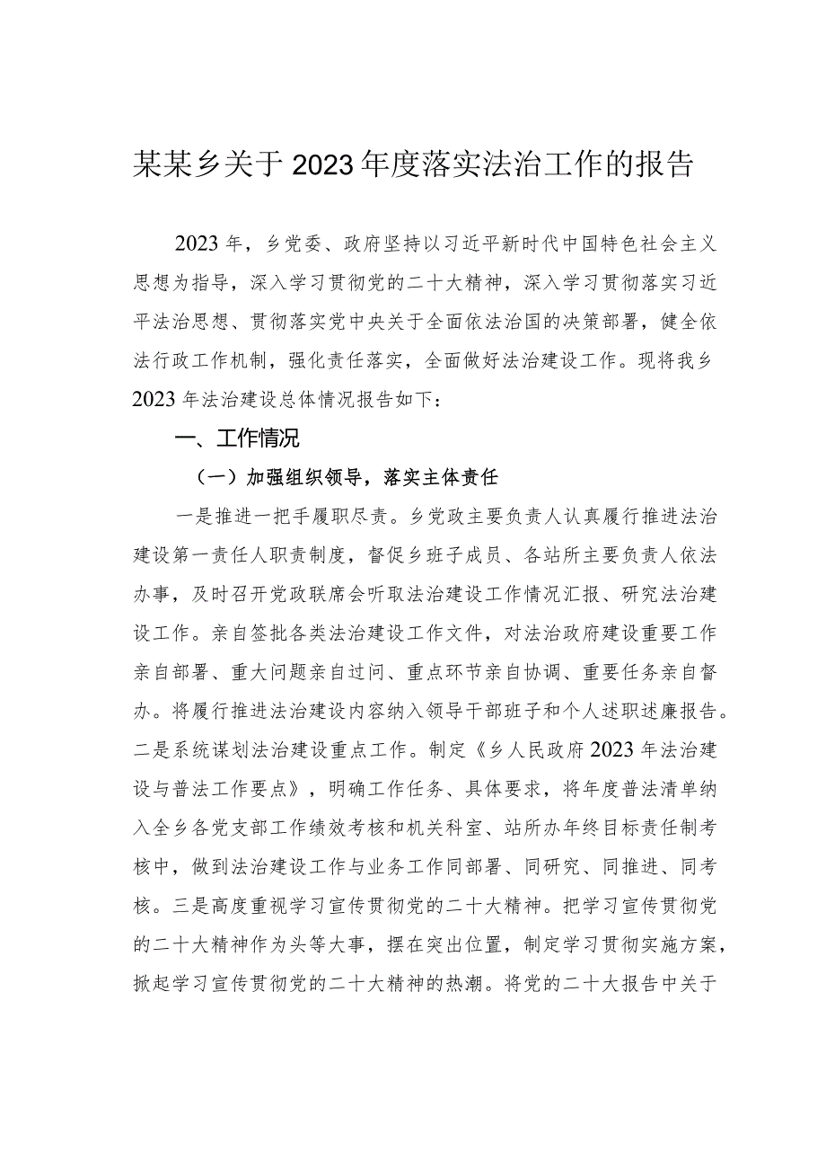 某某乡关于2023年度落实法治工作的报告.docx_第1页