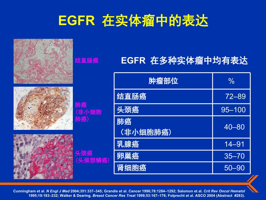 【专业文献】抗EGFR单克隆抗体在难治性结直肠癌中的作用.ppt_第2页