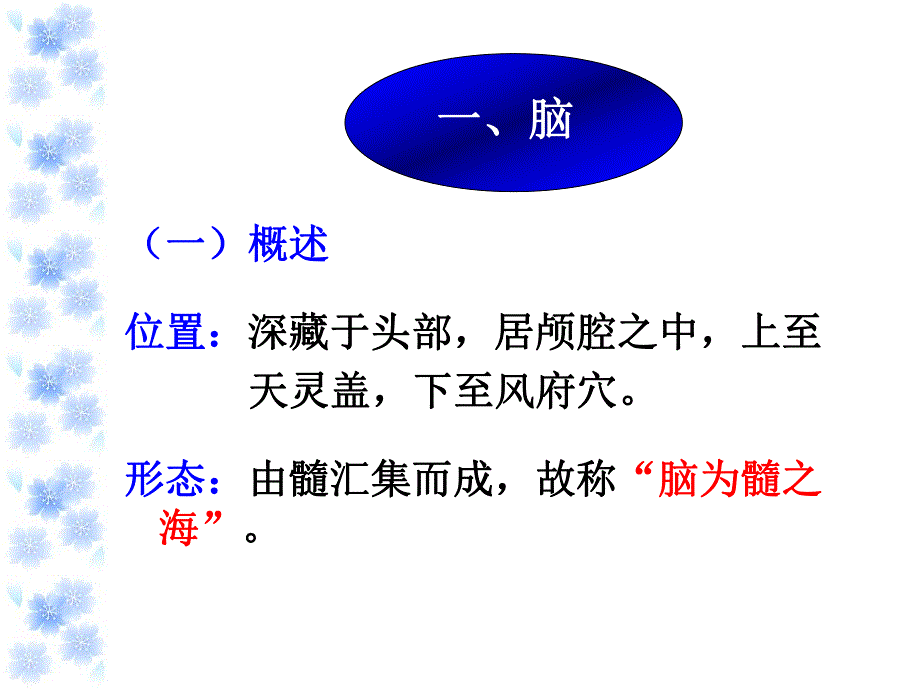 27奇恒之腑脏腑关系.ppt_第2页