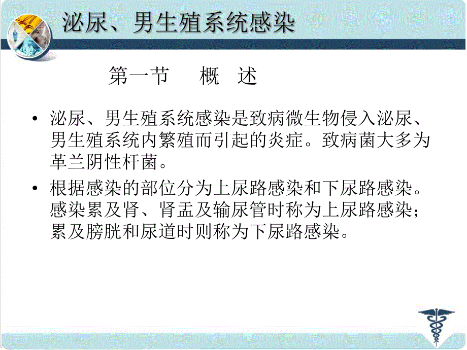 [医学]泌尿、男生殖系统感染.ppt_第3页