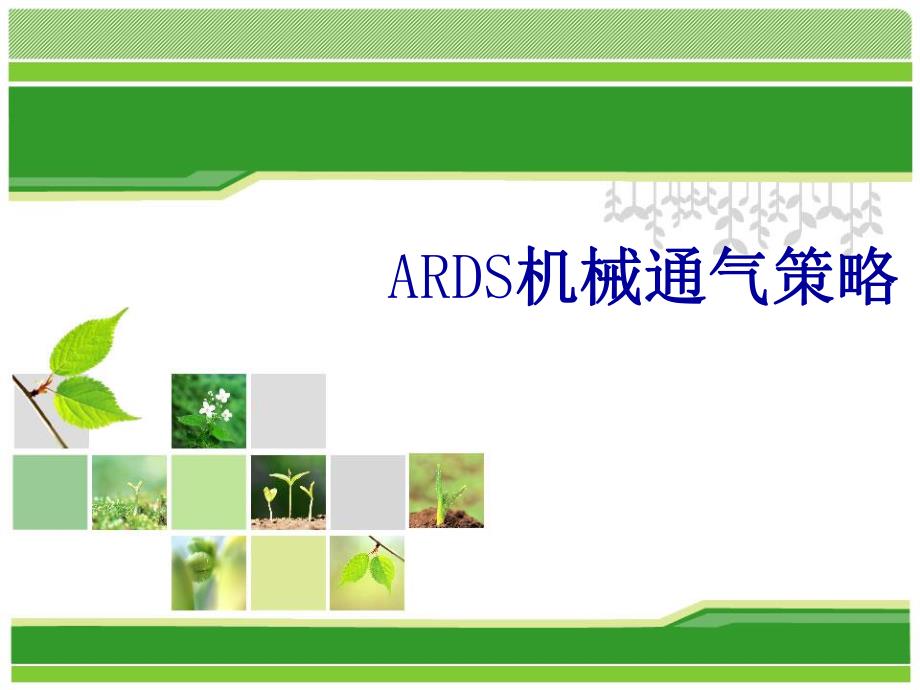 ards机械通气策略.ppt_第1页