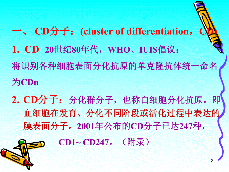 CD分子和粘附分子【PPT】 .ppt_第2页