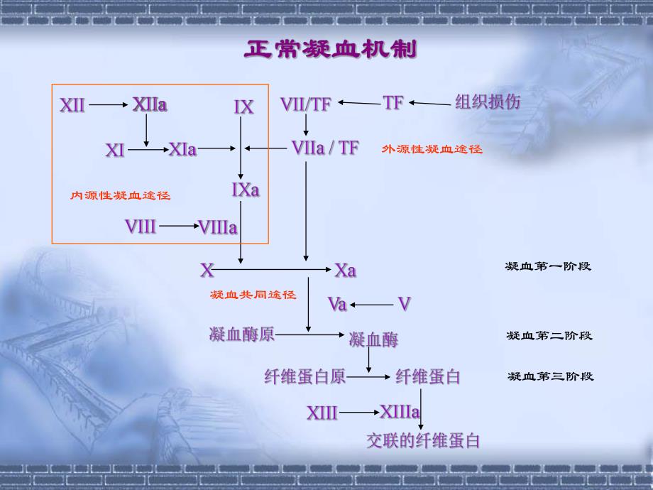 DIC诊断与治疗的新概念.ppt_第2页