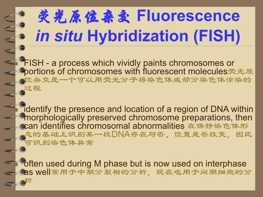 FISH技术及应用.ppt_第2页