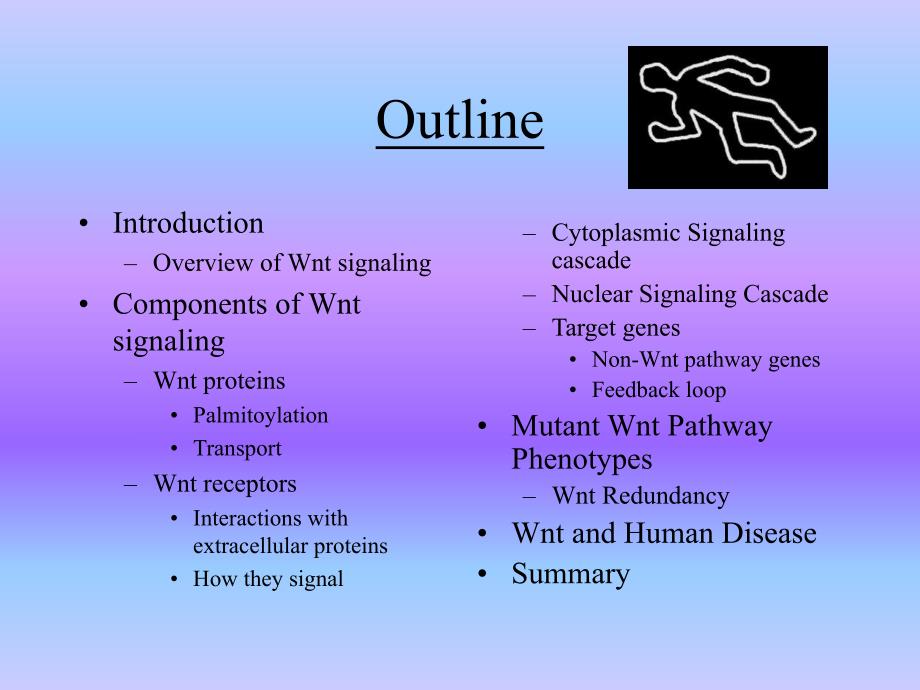 the wnt signaling pathway.ppt_第2页