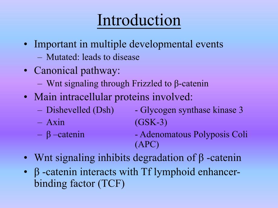 the wnt signaling pathway.ppt_第3页