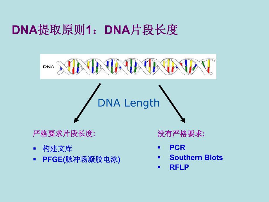 DNA 提取与保存.ppt_第3页