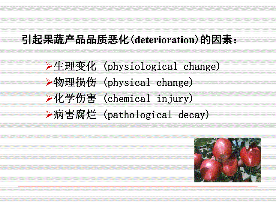 7果蔬产品采后采后生理失调.ppt_第2页