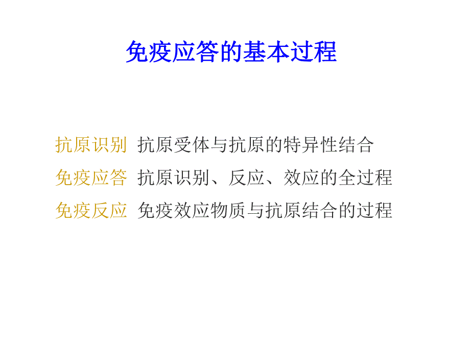 T细胞免疫.ppt_第2页