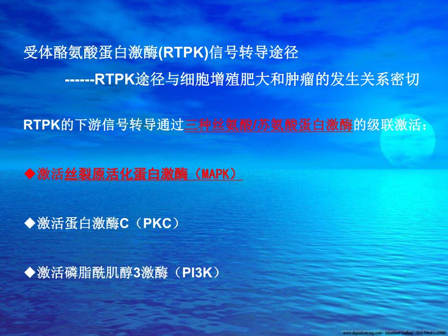 p38MAPK信号转导通路与肿瘤细胞.ppt.ppt_第3页