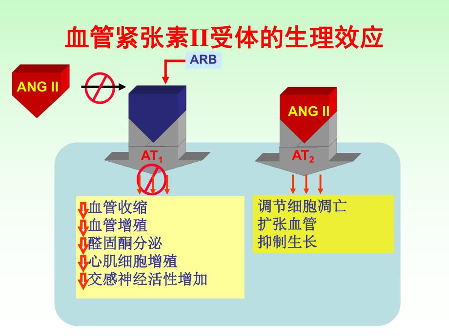 ARB在肾脏病中的应用.ppt_第3页