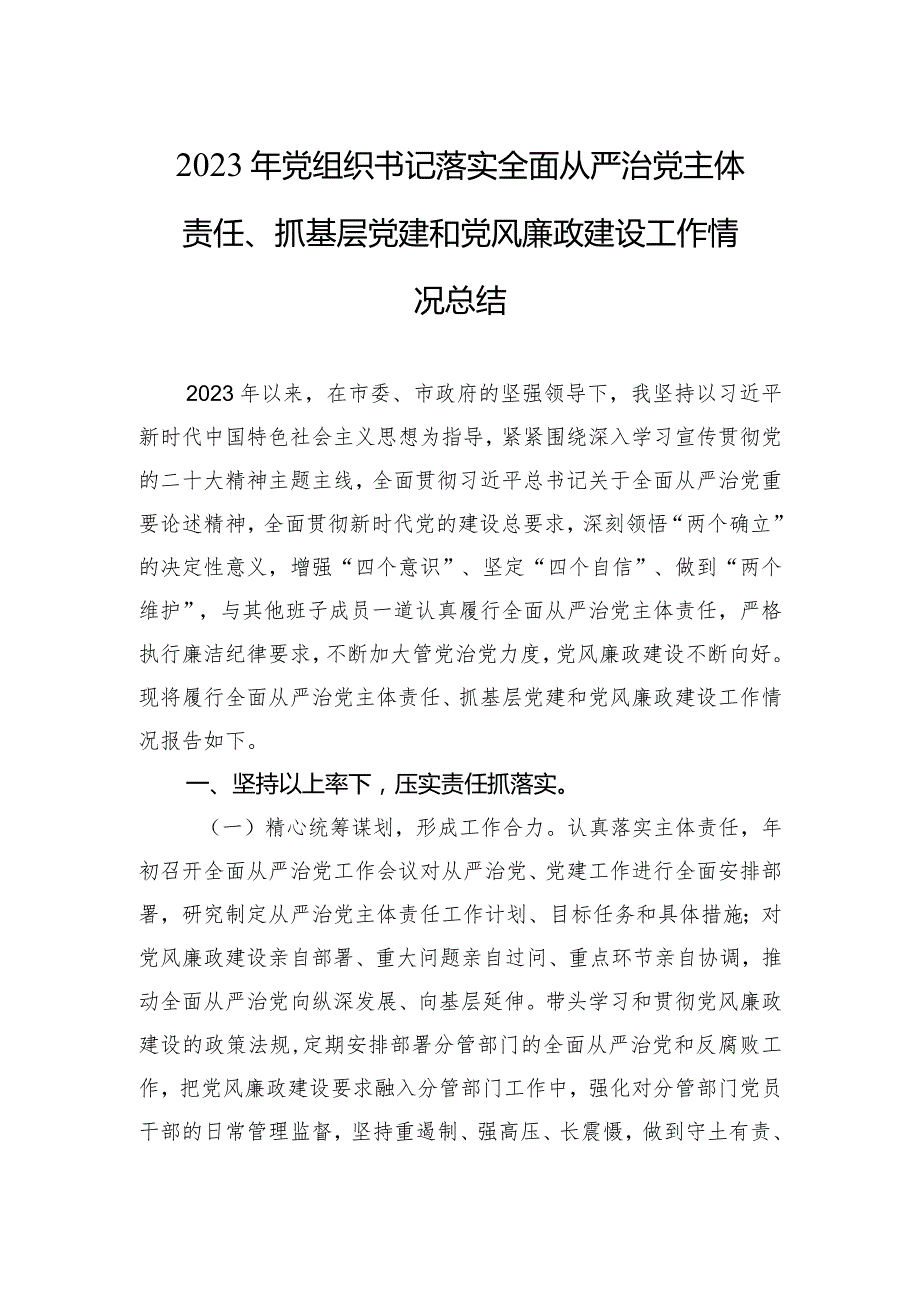 2023年党组织书记落实全面从严治党主体责任工作情况报告.docx_第1页