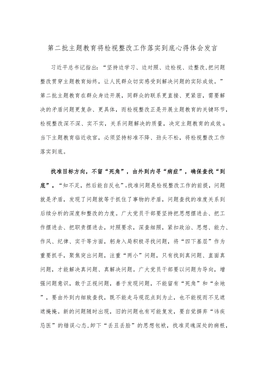 第二批主题教育将检视整改工作落实到底心得体会发言.docx_第1页