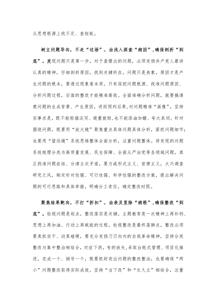 第二批主题教育将检视整改工作落实到底心得体会发言.docx_第2页