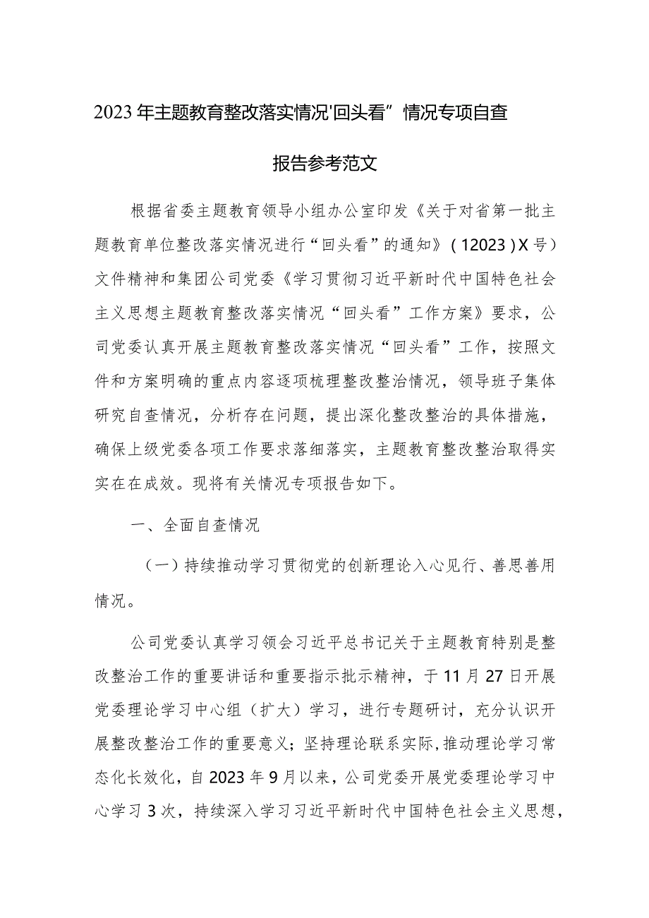 2023年主题教育整改落实情况“回头看”情况专项自查报告参考范文.docx_第1页