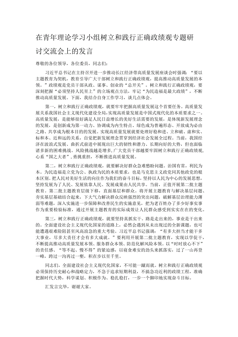 在青年理论学习小组树立和践行正确政绩观专题研讨交流会上的发言.docx_第1页