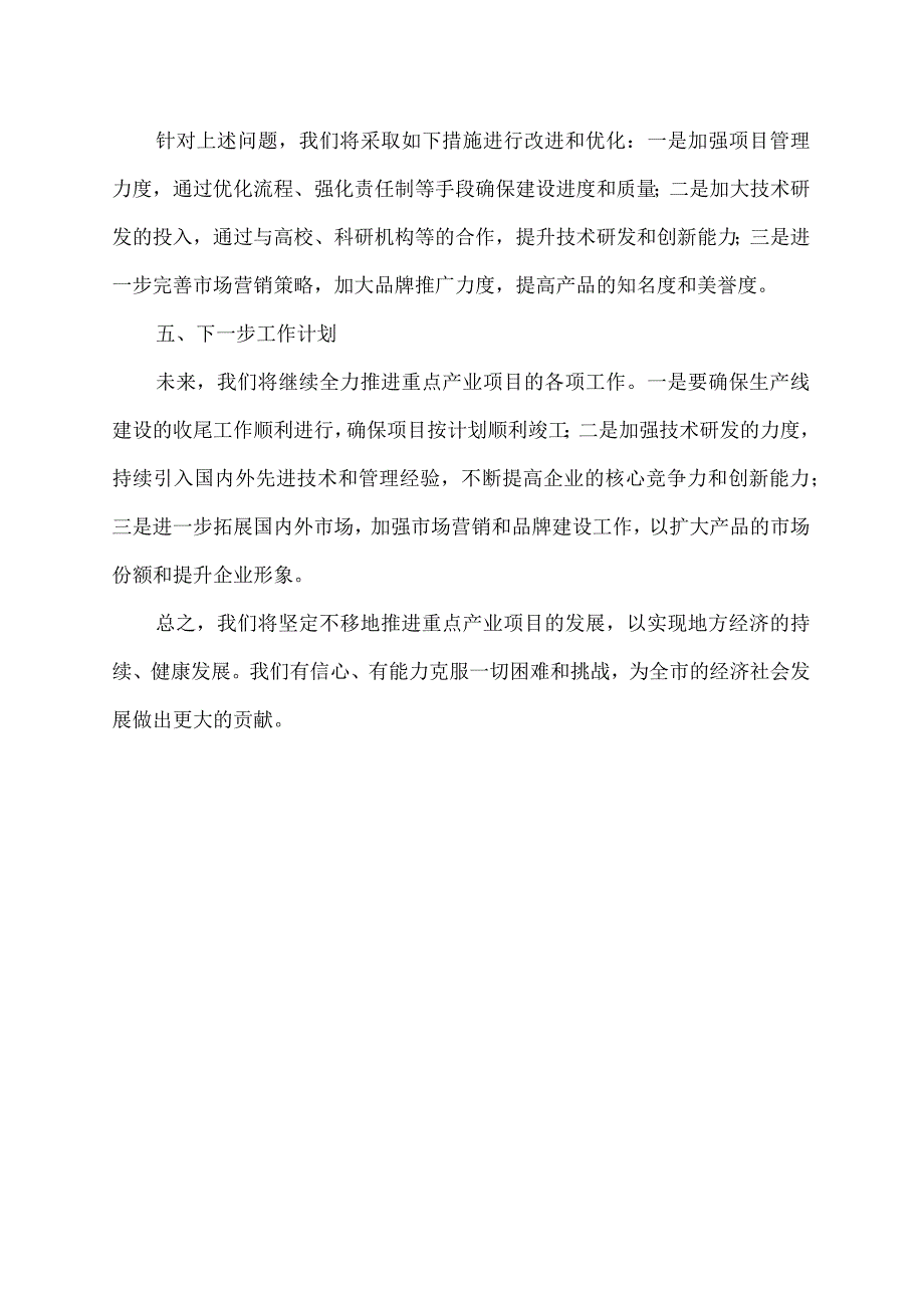 重点产业项目汇报材料.docx_第2页