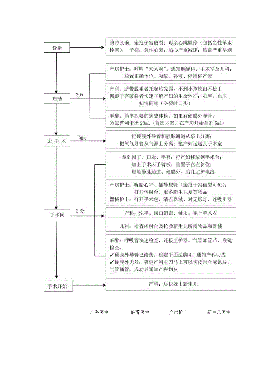 5分钟即刻剖宫产流程图.docx_第2页