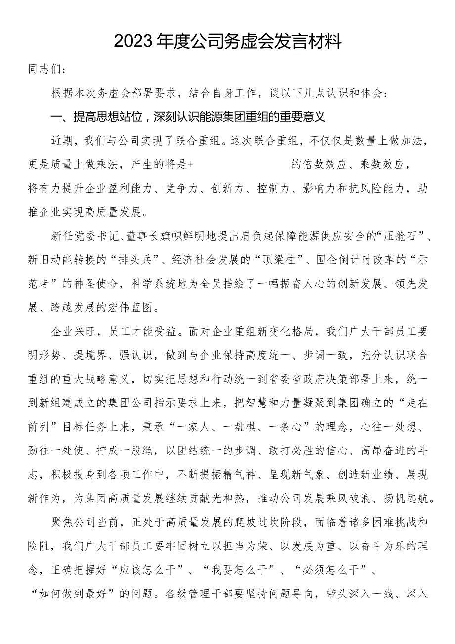 2023年度公司务虚会发言材料.docx_第1页