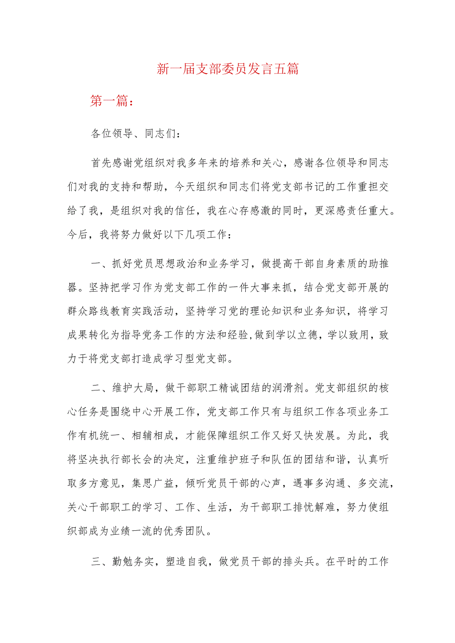 新一届支部委员发言五篇.docx_第1页