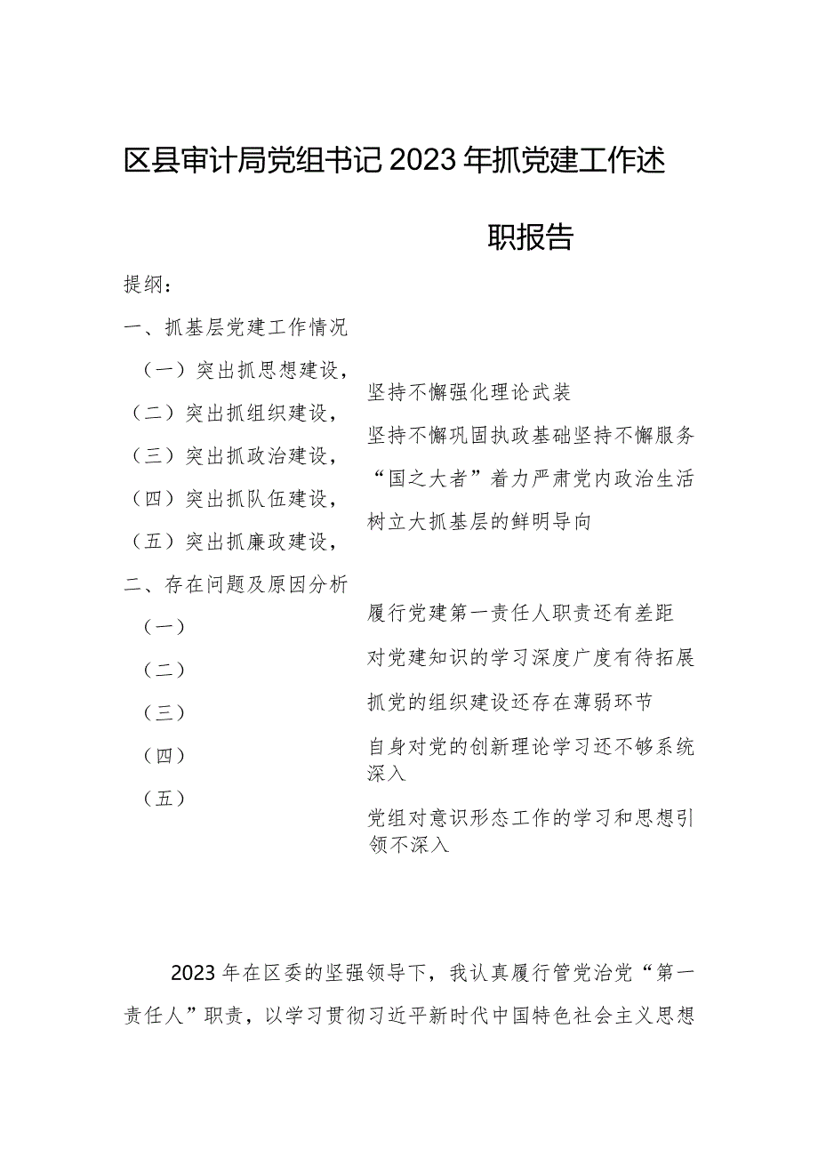 区县审计局党组书记2023年抓党建工作述职报告.docx_第1页