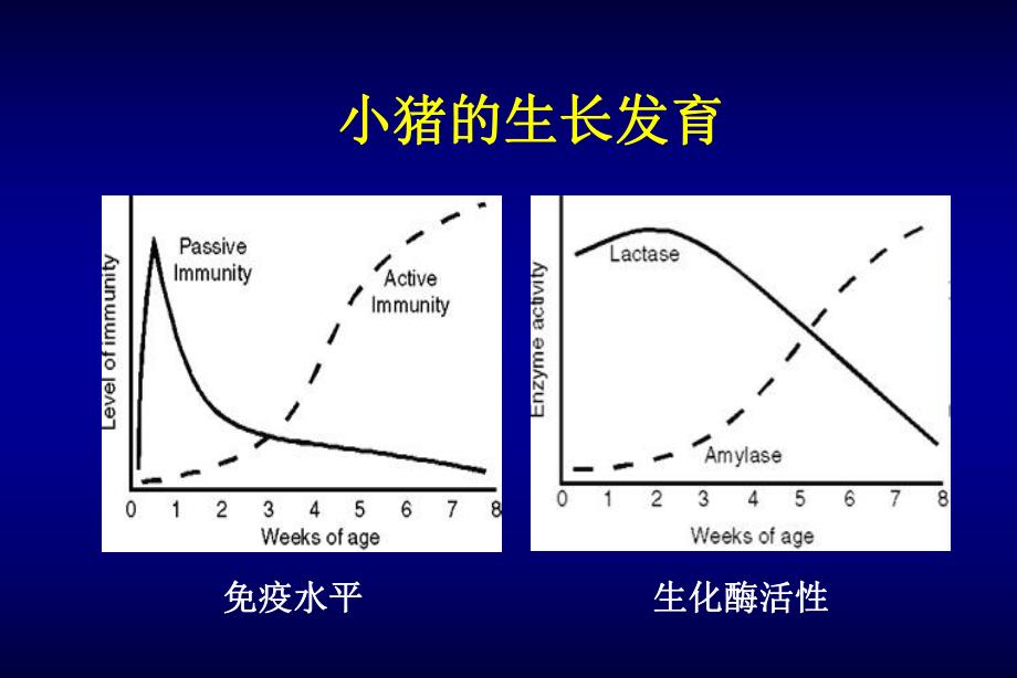 仔猪早期营养对猪全程健康、生长性能及效益的影响.ppt_第3页