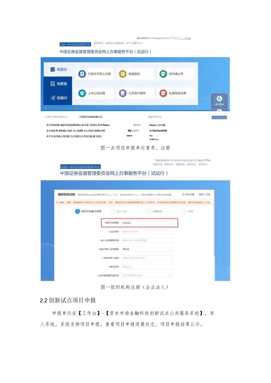 资本市场金融科技创新试点公共服务系统操作说明.docx_第2页
