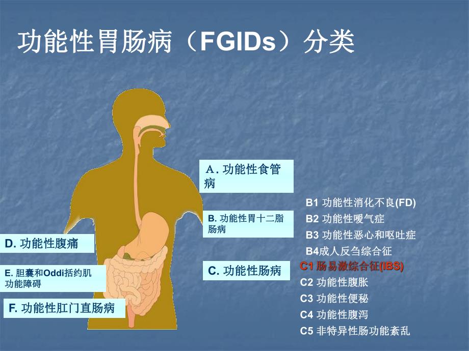 功能性消化不良（PPT） .ppt_第3页