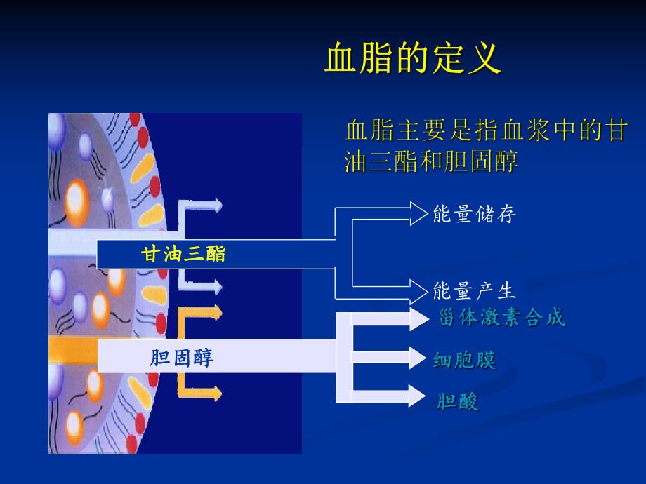 他汀临床应用.ppt_第3页