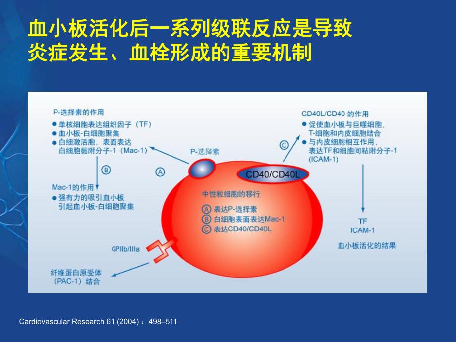 冠心病抗血小板治疗与出血对策.ppt_第3页