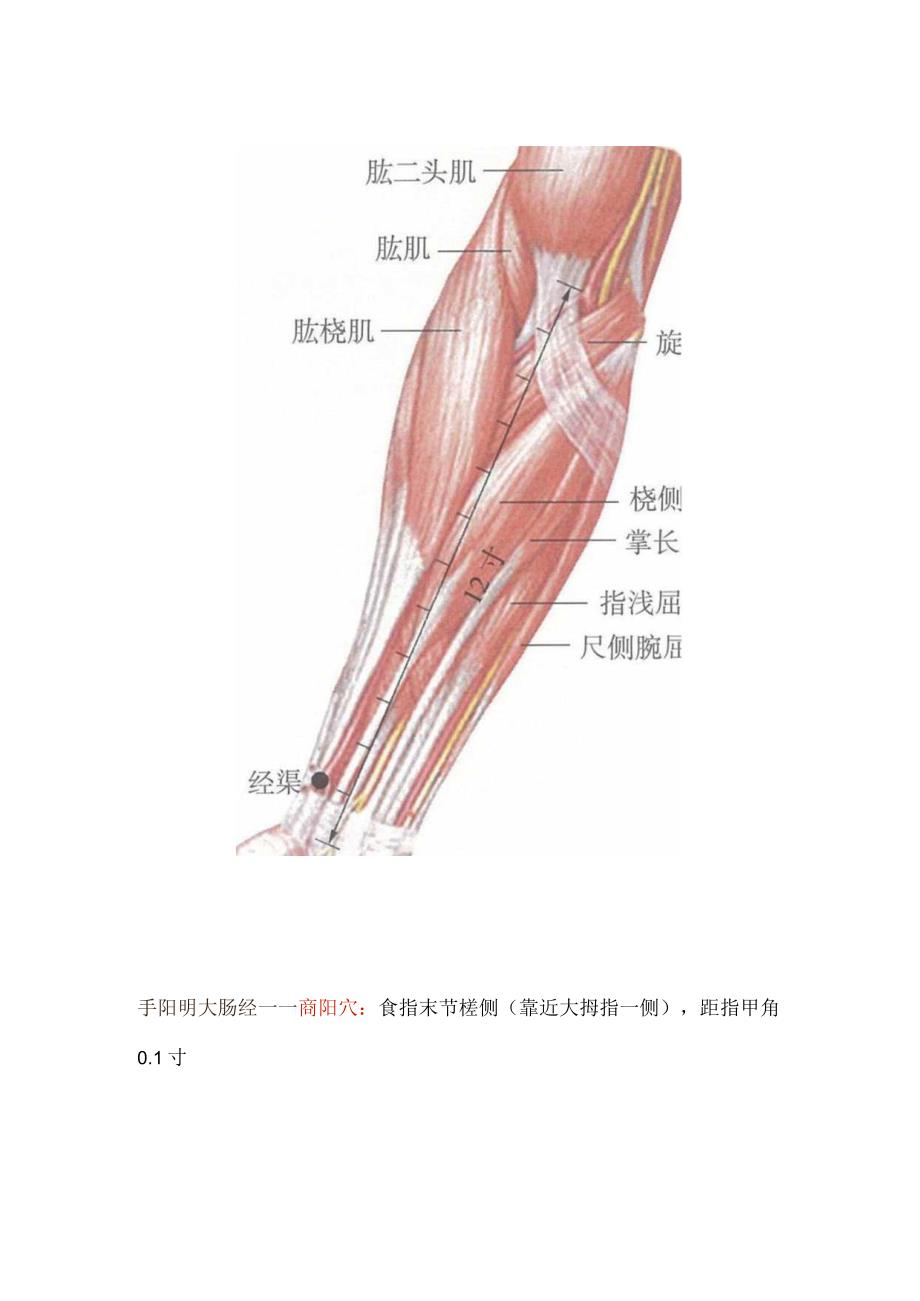 12经络本经本穴取穴解析.docx_第3页