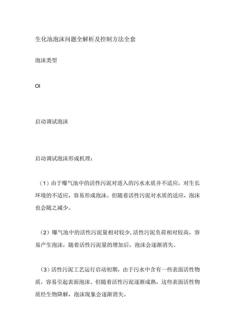 生化池泡沫问题全解析及控制方法全套.docx_第1页