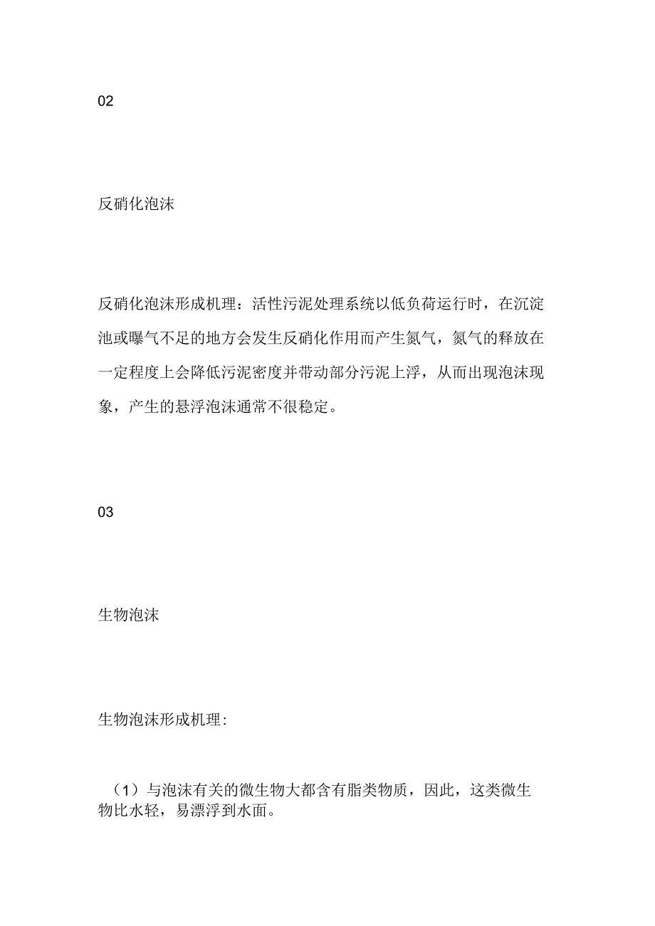 生化池泡沫问题全解析及控制方法全套.docx_第2页