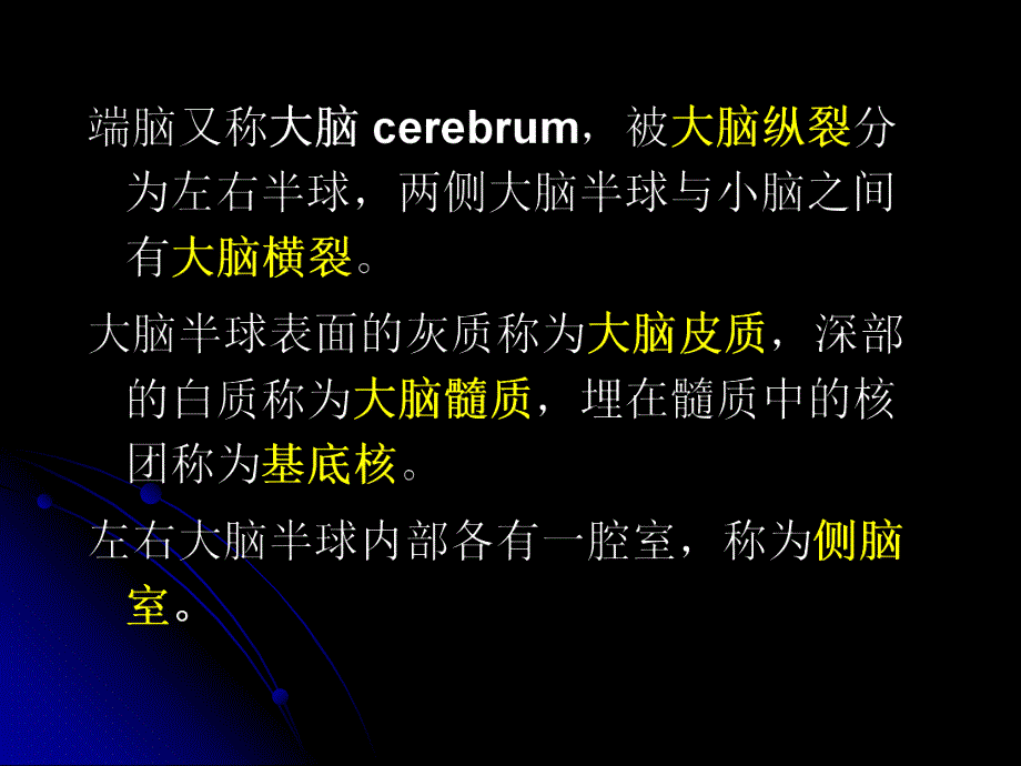 中枢神经系统解剖端脑1.ppt_第2页