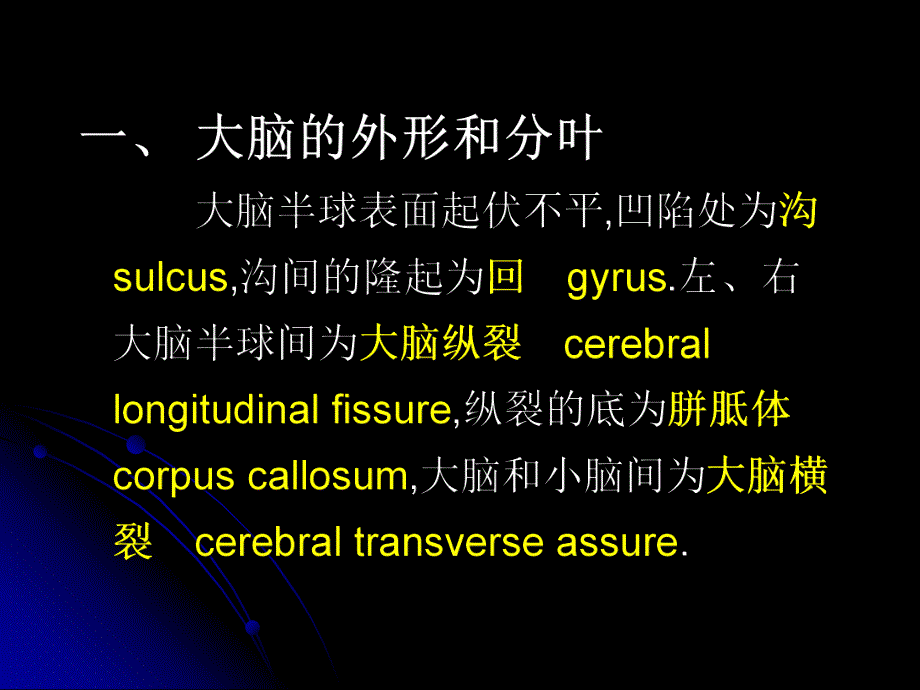 中枢神经系统解剖端脑1.ppt_第3页