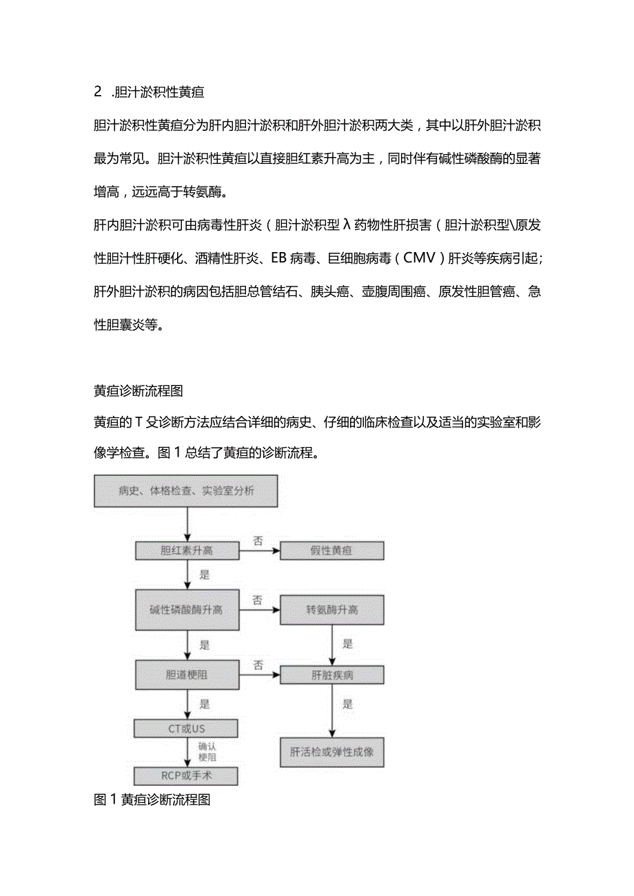 黄疸的病因、分类及诊断2024.docx_第3页