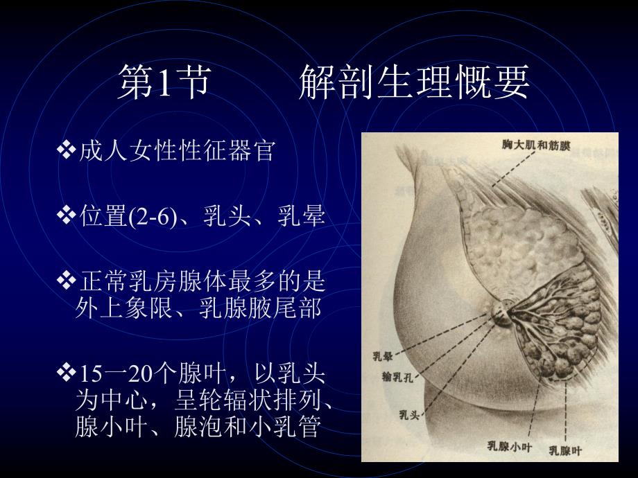 乳腺疾病.ppt_第2页