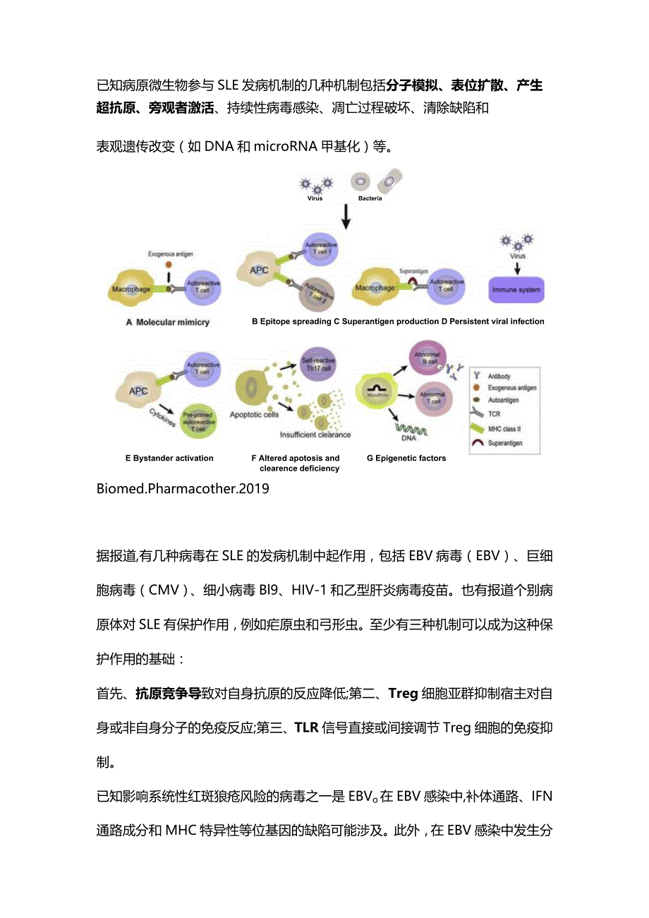 2024生活环境-免疫系统-系统性红斑狼疮.docx_第2页