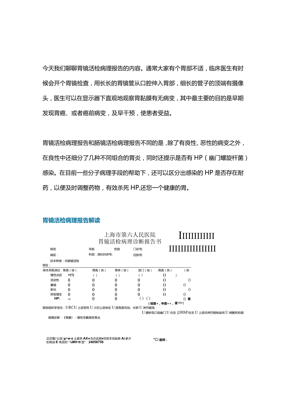 2024胃镜活检病理报告.docx_第1页