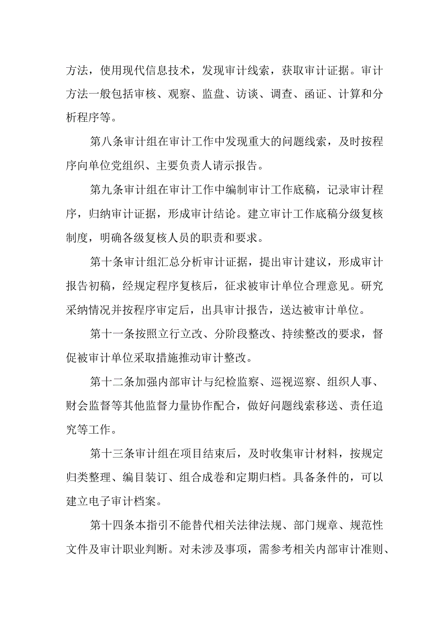 2023卫生健康行业内部审计工作指引-卫生健康行业内部审计基本指引（试行）.docx_第2页