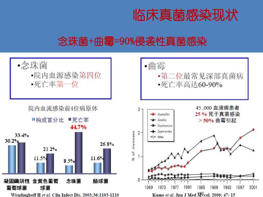 临床真菌感染.ppt_第3页