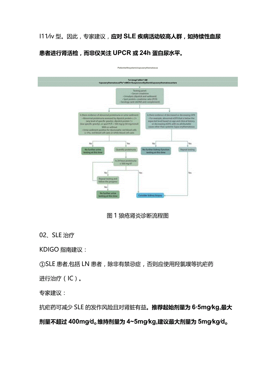 KDIGO肾小球疾病指南中狼疮肾炎的诊疗2024.docx_第2页