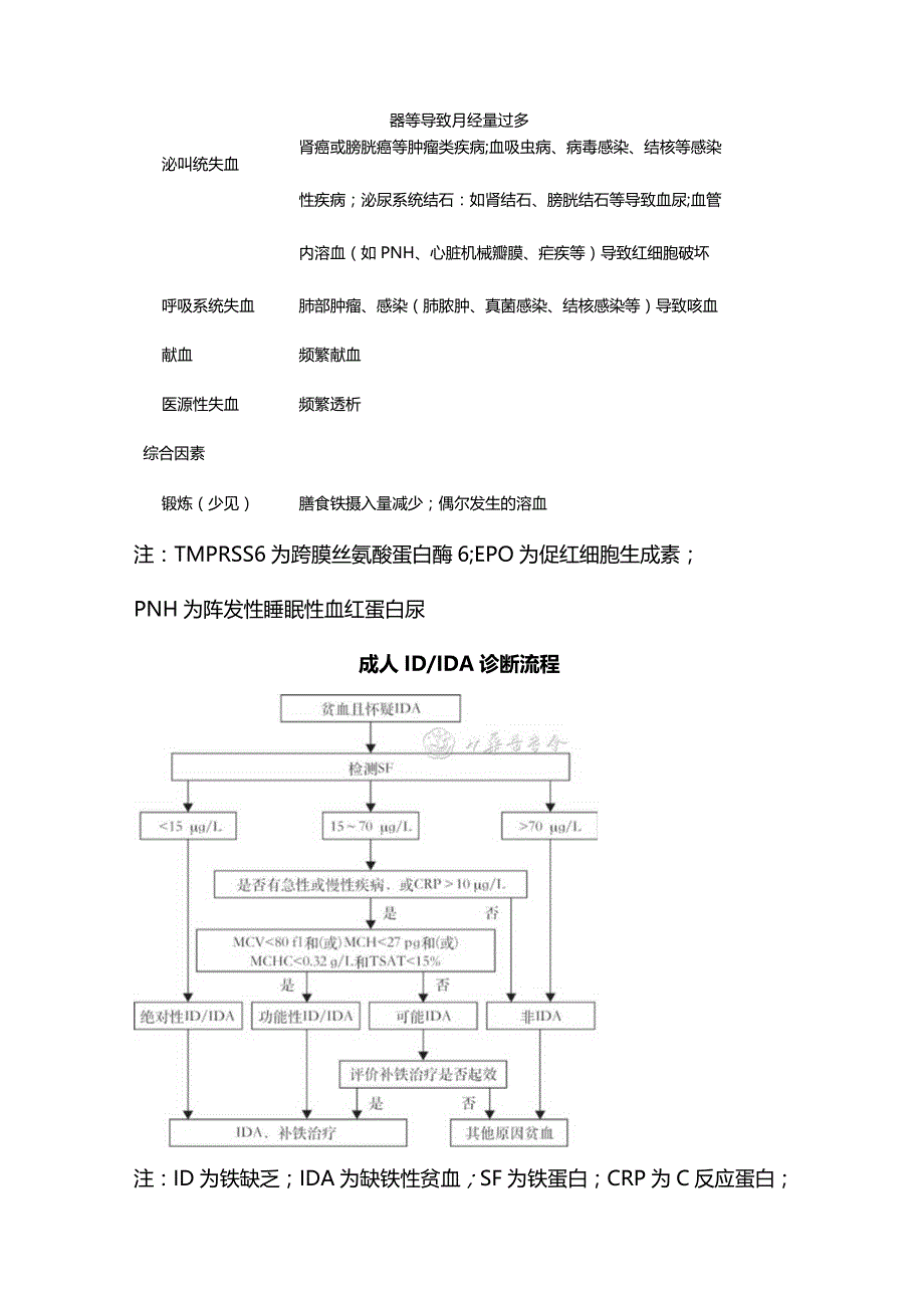 最新铁缺乏症和缺铁性贫血诊治和预防的多学科专家共识（2022年版）.docx_第3页