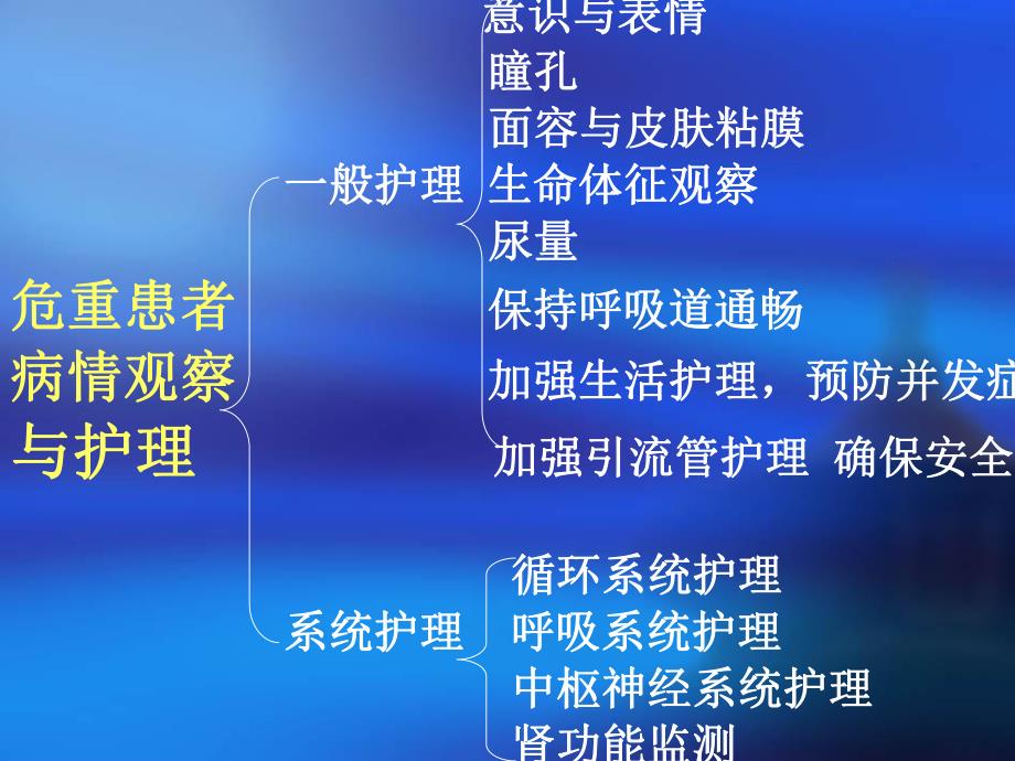 危重患者的病情观察与护理.ppt_第2页