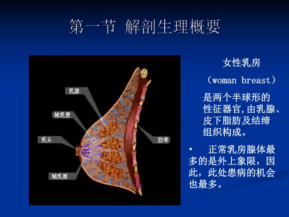 乳房疾病病人的护理.ppt_第2页