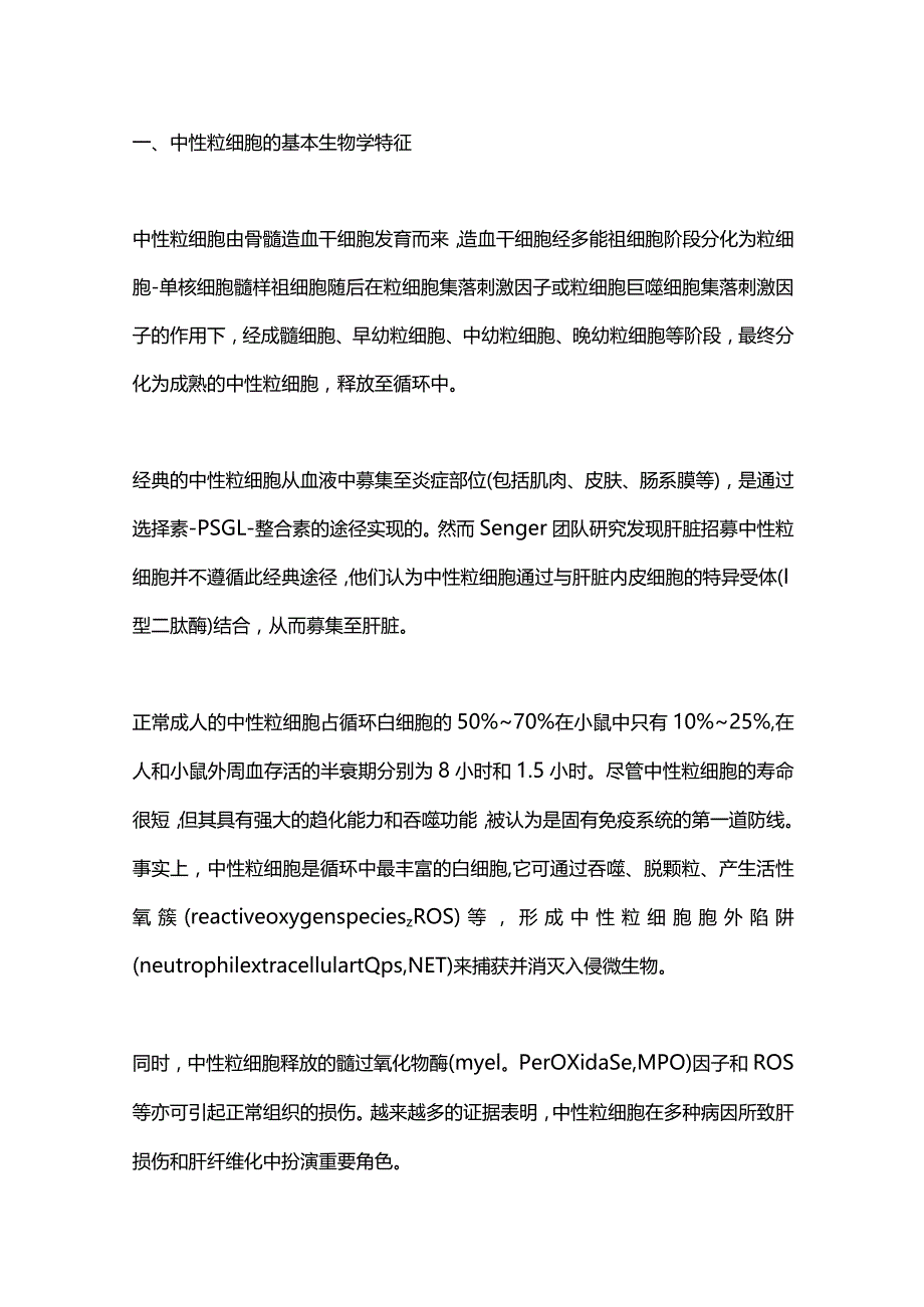 中性粒细胞在肝纤维化中的作用2024.docx_第2页