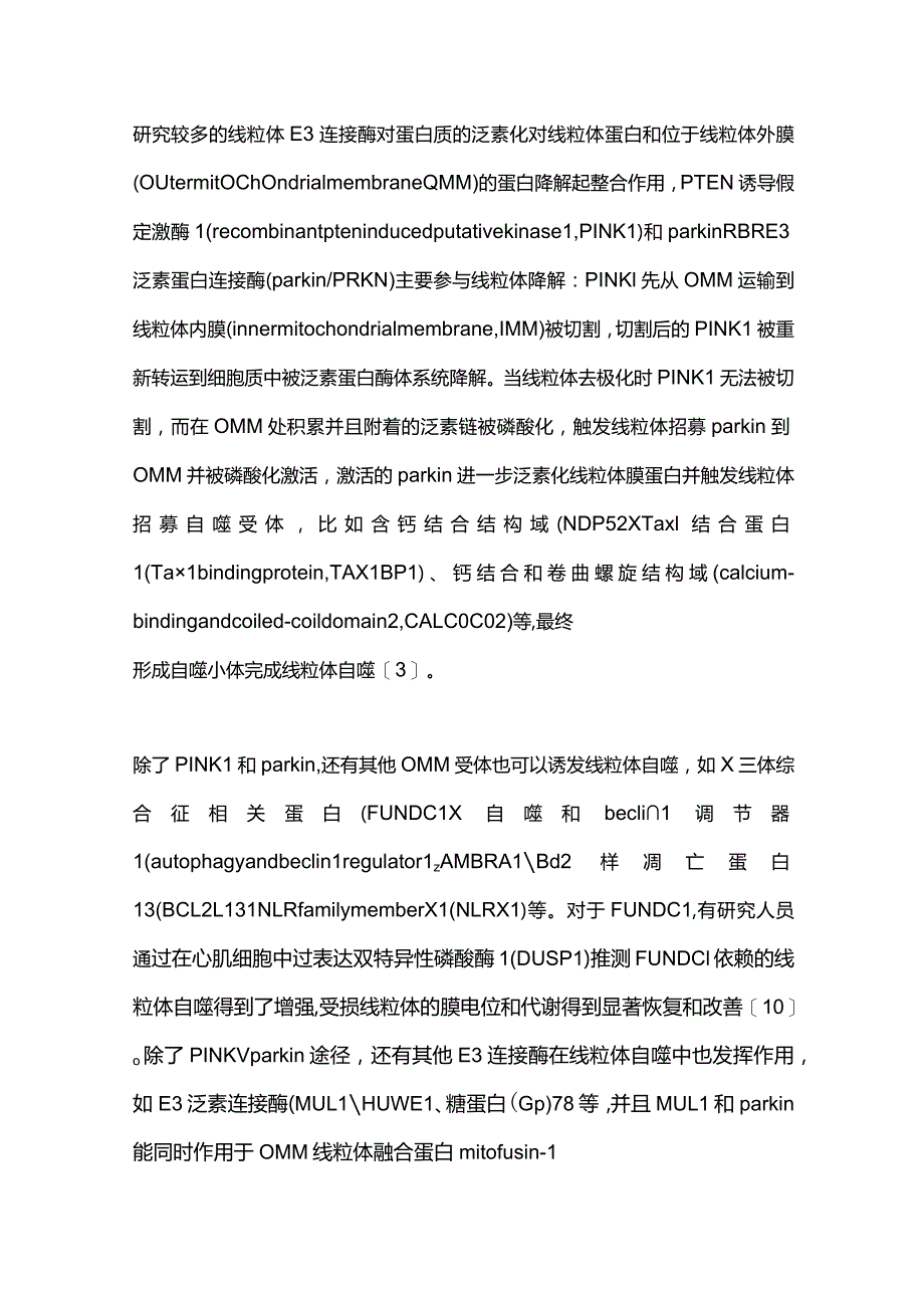 线粒体自噬在肝癌发生与发展中作用机制的研究进展2023.docx_第3页