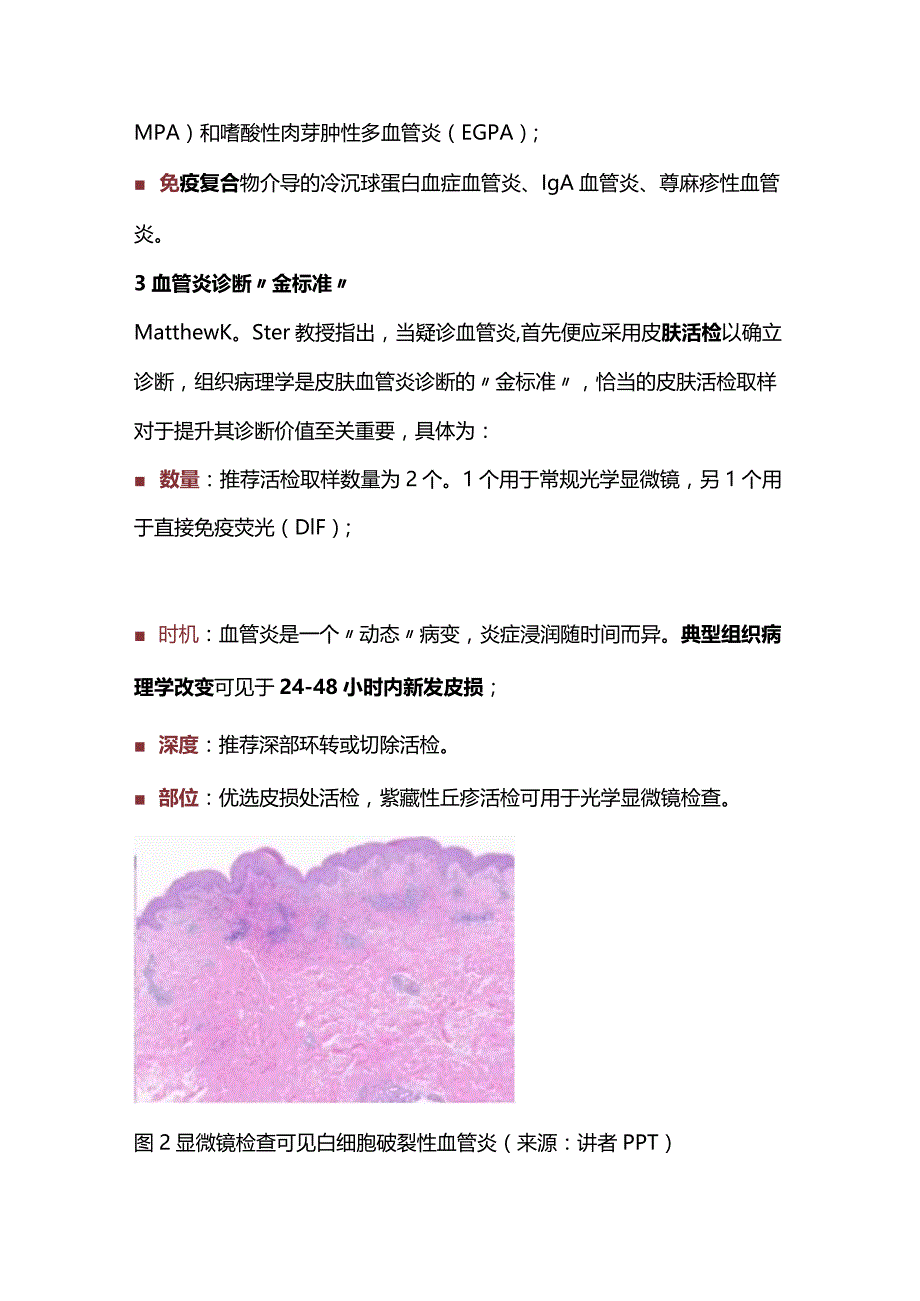 IgA血管炎实现完全缓解ACR治疗要点2024.docx_第2页