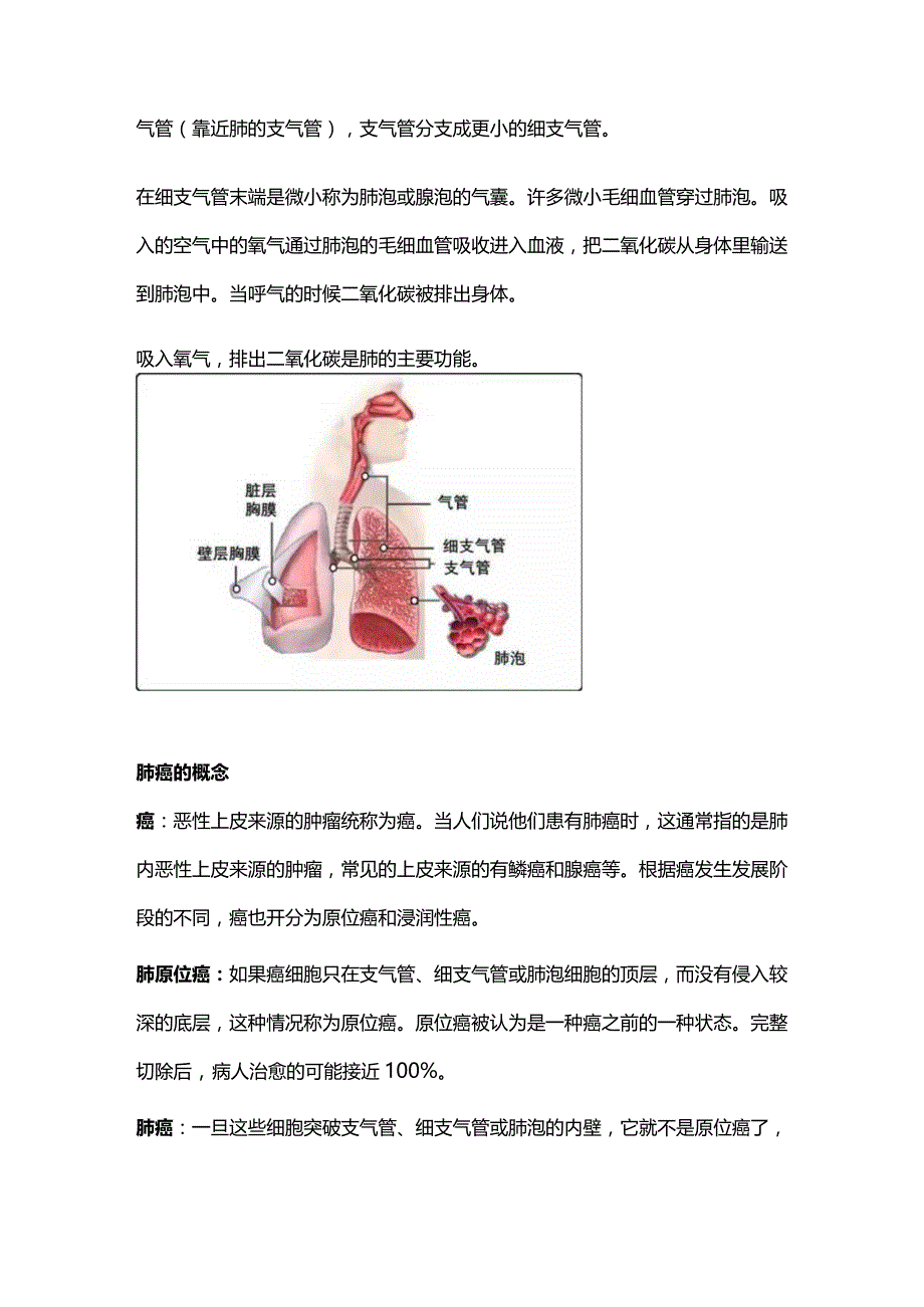 2024肺癌病理报告解读.docx_第2页