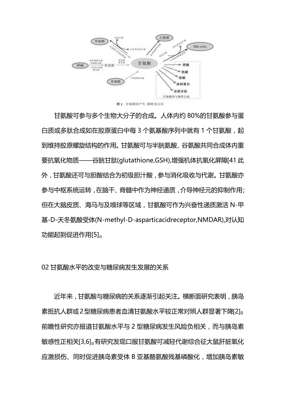 甘氨酸在糖尿病及其慢性并发症中的作用研究进展2023.docx_第3页